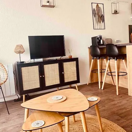 Studio Entre Mer Et Dunes Avec Balcon Vue Laterale Mer 50M Plage Pour 3 Pers Wifi Menage Compris Apartment *