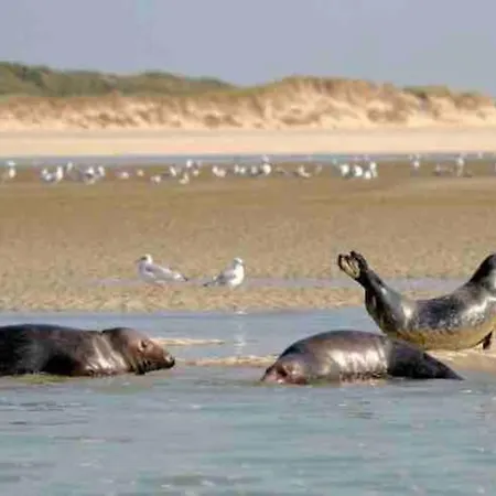 Apartamento Entre Et Dunes Avec Balcon Vue Laterale 50m Pour 3 Pers Wifi Ménage Compris Fort-Mahon-Plage