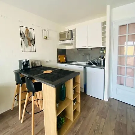 Apartment Studio Entre Mer Et Dunes Avec Balcon Vue Laterale Mer 50M Plage Pour 3 Pers Wifi Menage Compris