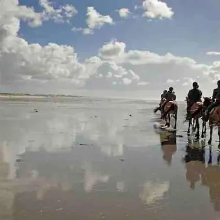 Entre Et Dunes Avec Balcon Vue Laterale 50m Pour 3 Pers Wifi Menage Compris Apartment *